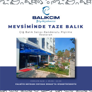 balikcim12
